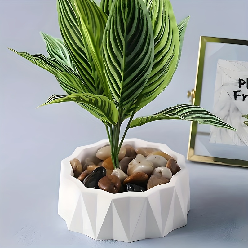 Stampi in Silicone Rotondi Irr - Potsticker Mold recensione e prezzo