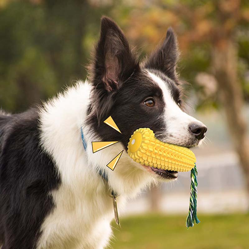 Giocattolo per Cani a Forma di - Corn Dog Stick recensione e prezzo
